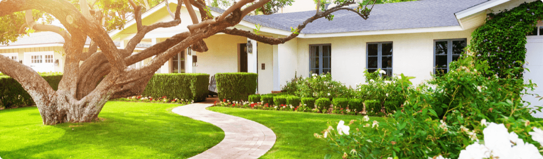 House and front yard